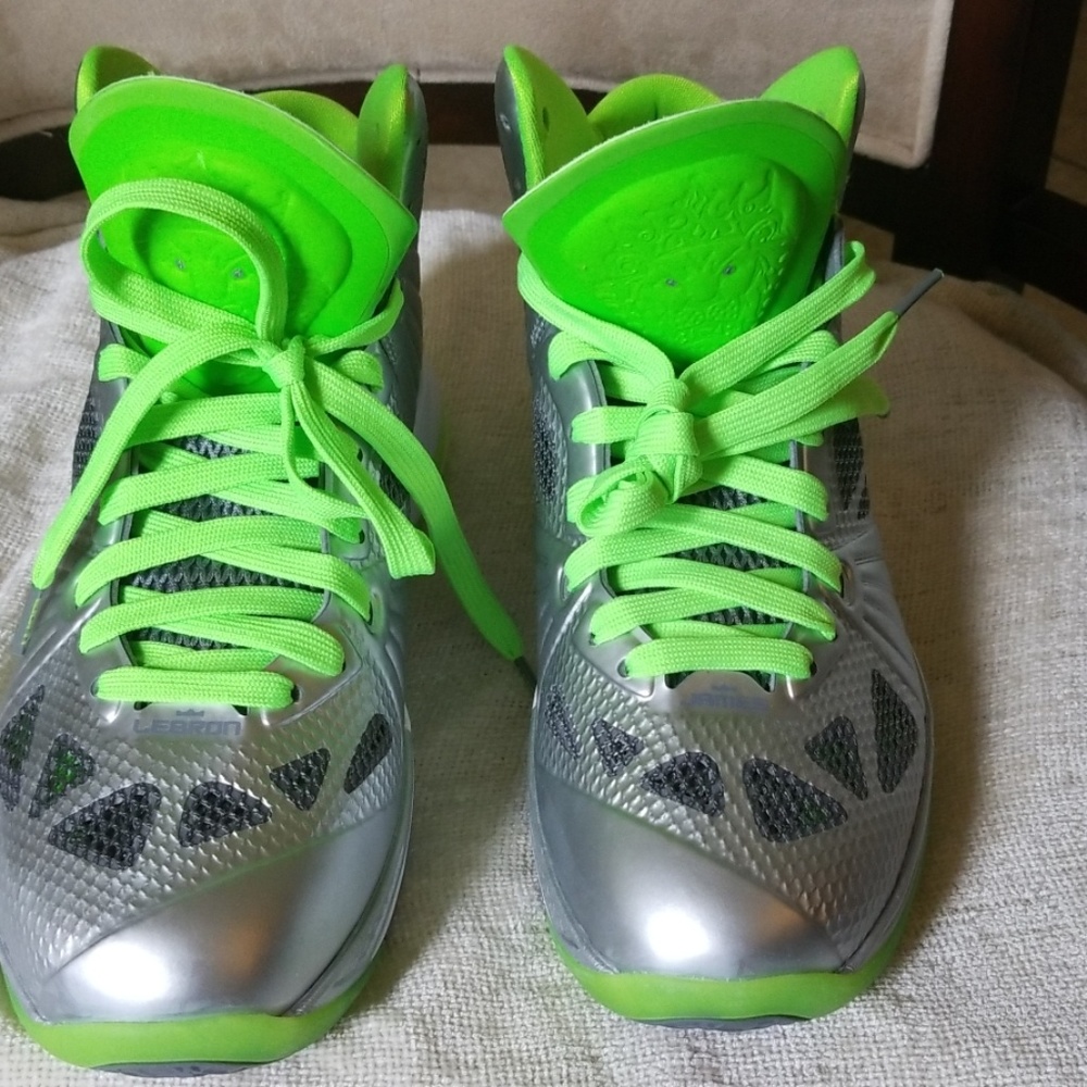 Lebron James Nike Shoe